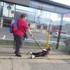 51885 - Unmoderated Parent Failure - Funny Parent Fail Pictures - 1